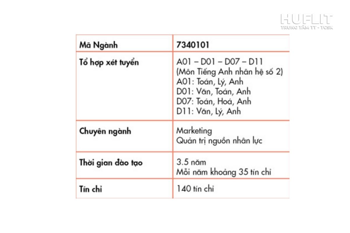 Các chuyên ngành Quản trị kinh doanh tại HUFLIT