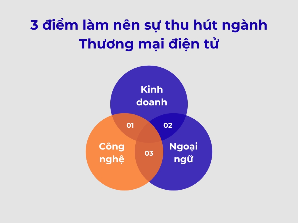 Ngành thương mại điện tử HUFLIT