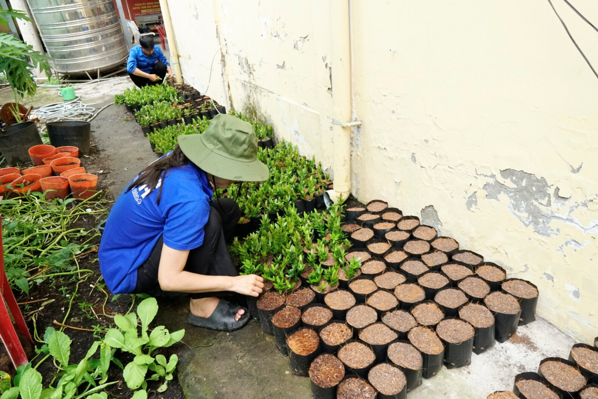 Chiến dịch Tình nguyện Mùa hè xanh HUFLIT năm 2025