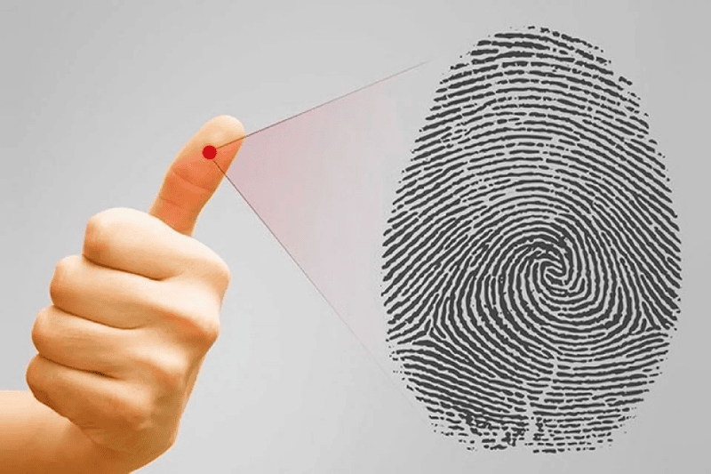 Sinh trắc vân tay