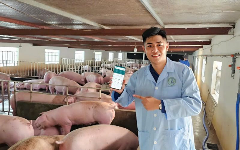 không giỏi môn nào nên học ngành gì